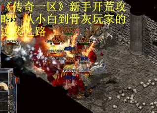 《传奇一区》新手开荒攻略：从小白到骨灰玩家的逆袭之路