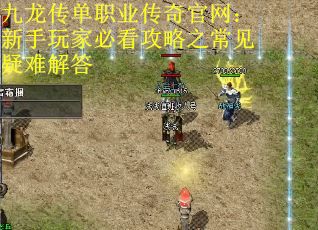 九龙传单职业传奇官网：新手玩家必看攻略之常见疑难解答