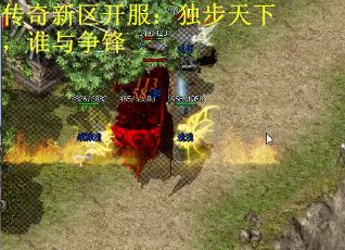 传奇新区开服：独步天下，谁与争锋