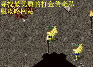 寻找最优质的打金传奇私服攻略网站