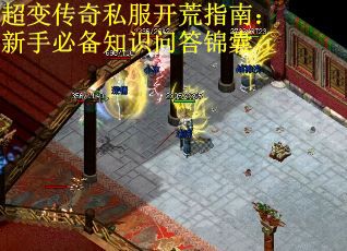超变传奇私服开荒指南：新手必备知识问答锦囊
