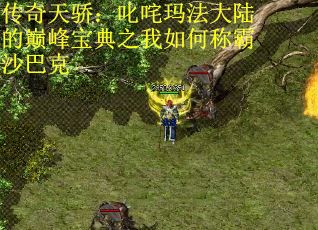 传奇天骄：叱咤玛法大陆的巅峰宝典之我如何称霸沙巴克