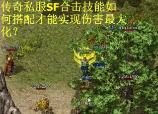 传奇私服SF合击技能如何搭配才能实现伤害最大化? 传奇私服SF合击技能如何搭配才能实现伤害最大化?