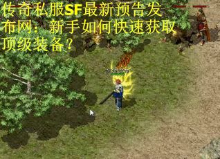 传奇私服SF最新预告发布网：新手如何快速获取顶级装备？
