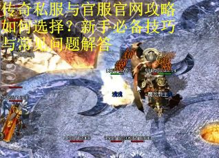传奇私服与官服官网攻略如何选择？新手必备技巧与常见问题解答