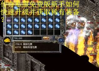传奇私服免费版新手如何快速升级并获取稀有装备？