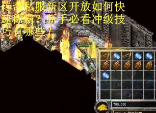 传奇私服新区开放如何快速称霸？新手必看冲级技巧有哪些？