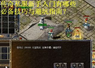 传奇私服新手入门有哪些必备技巧与避坑指南？