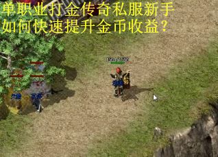 单职业打金传奇私服新手如何快速提升金币收益? 单职业打金传奇私服新手如何快速提升金币收益?