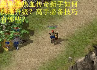 单职业热血传奇新手如何快速升级？高手必备技巧有哪些？
