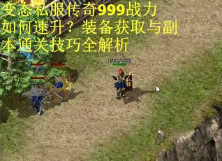 变态私服传奇999战力如何速升?装备获取与副本通关技巧全解析 变态私服传奇999战力如何速升?装备获取与副本通关技巧全解析