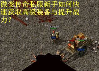 微变传奇私服新手如何快速获取高级装备与提升战力？