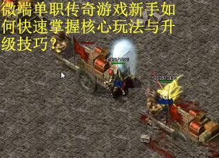 微端单职传奇游戏新手如何快速掌握核心玩法与升级技巧？