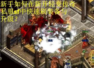 新手如何在新开轻变传奇私服sf中快速刷装备与升级？