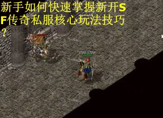 新手如何快速掌握新开SF传奇私服核心玩法技巧？