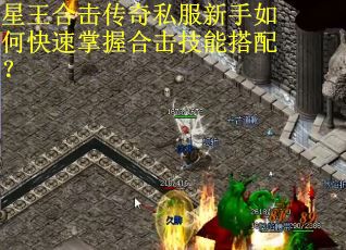 星王合击传奇私服新手如何快速掌握合击技能搭配？