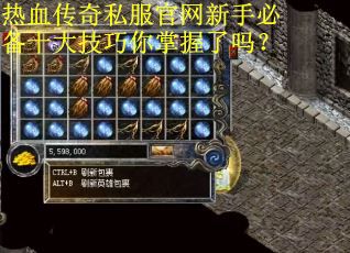 热血传奇私服官网新手必备十大技巧你掌握了吗?