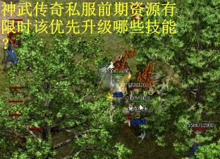 神武传奇私服前期资源有限时该优先升级哪些技能? 神武传奇私服前期资源有限时该优先升级哪些技能?