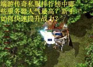 端游传奇私服排行榜中哪些服务器人气最高?新手如何快速提升战力? 端游传奇私服排行榜中哪些服务器人气最高?新手如何快速提升战力?