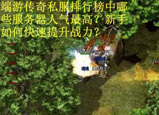 端游传奇私服排行榜中哪些服务器人气最高?新手如何快速提升战力? 端游传奇私服排行榜中哪些服务器人气最高?新手如何快速提升战力?