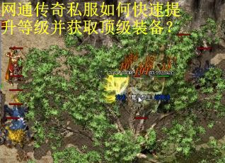 网通传奇私服如何快速提升等级并获取顶级装备?