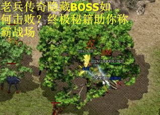 老兵传奇隐藏BOSS如何击败？终极秘籍助你称霸战场