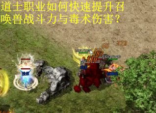 道士职业如何快速提升召唤兽战斗力与毒术伤害？