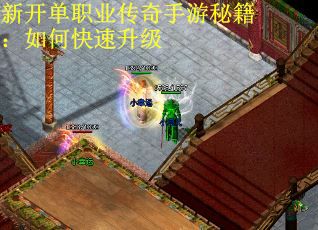 新开单职业传奇手游秘籍：如何快速升级