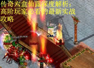 传奇六盒仙露深度解析：高阶玩家必看的最新实战攻略