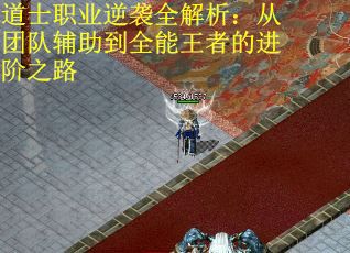 道士职业逆袭全解析：从团队辅助到全能王者的进阶之路