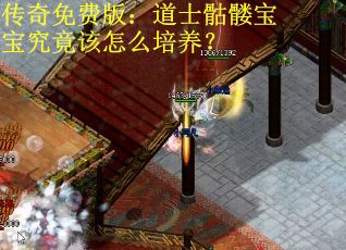 传奇免费版：道士骷髅宝宝究竟该怎么培养？