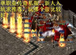 单职业传奇私服，新人入坑求推荐，玩哪个服比较好？
