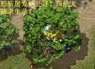 怒斩屠龙何处寻？玛法大陆求生录？