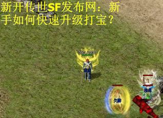 新开传世SF发布网：新手如何快速升级打宝？