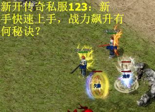 新开传奇私服123：新手快速上手，战力飙升有何秘诀？
