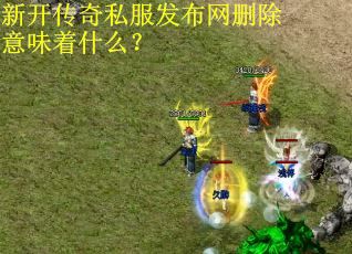 新开传奇私服发布网删除意味着什么？