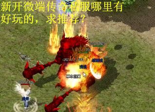 新开微端传奇私服哪里有好玩的，求推荐？