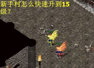 新手村怎么快速升到15级？