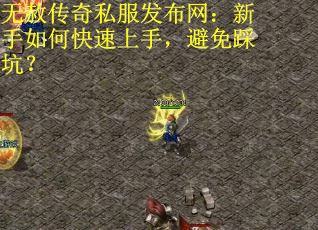 无赦传奇私服发布网：新手如何快速上手，避免踩坑？