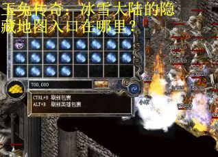 玉兔传奇：冰雪大陆的隐藏地图入口在哪里？