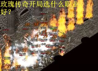 玫瑰传奇开局选什么职业好？