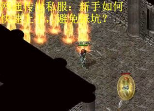 网通传世私服：新手如何快速上手，避免踩坑？
