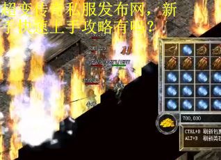 超变传奇私服发布网，新手快速上手攻略有吗？