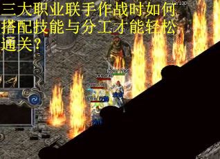 三大职业联手作战时如何搭配技能与分工才能轻松通关？