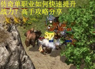 传奇单职业如何快速提升战力？高手攻略分享