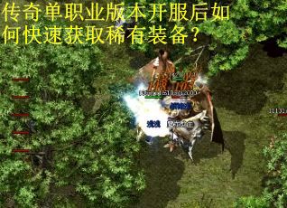 传奇单职业版本开服后如何快速获取稀有装备？