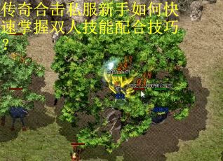 传奇合击私服新手如何快速掌握双人技能配合技巧？