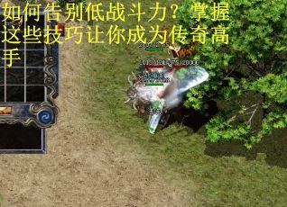 如何告别低战斗力？掌握这些技巧让你成为传奇高手