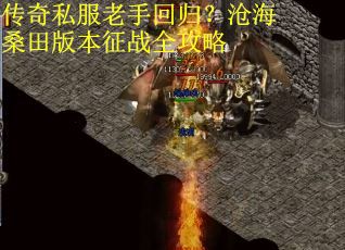 传奇私服老手回归？沧海桑田版本征战全攻略