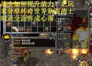 战士如何提升战力？老玩家分享传奇世界私服战士职业全面养成心得